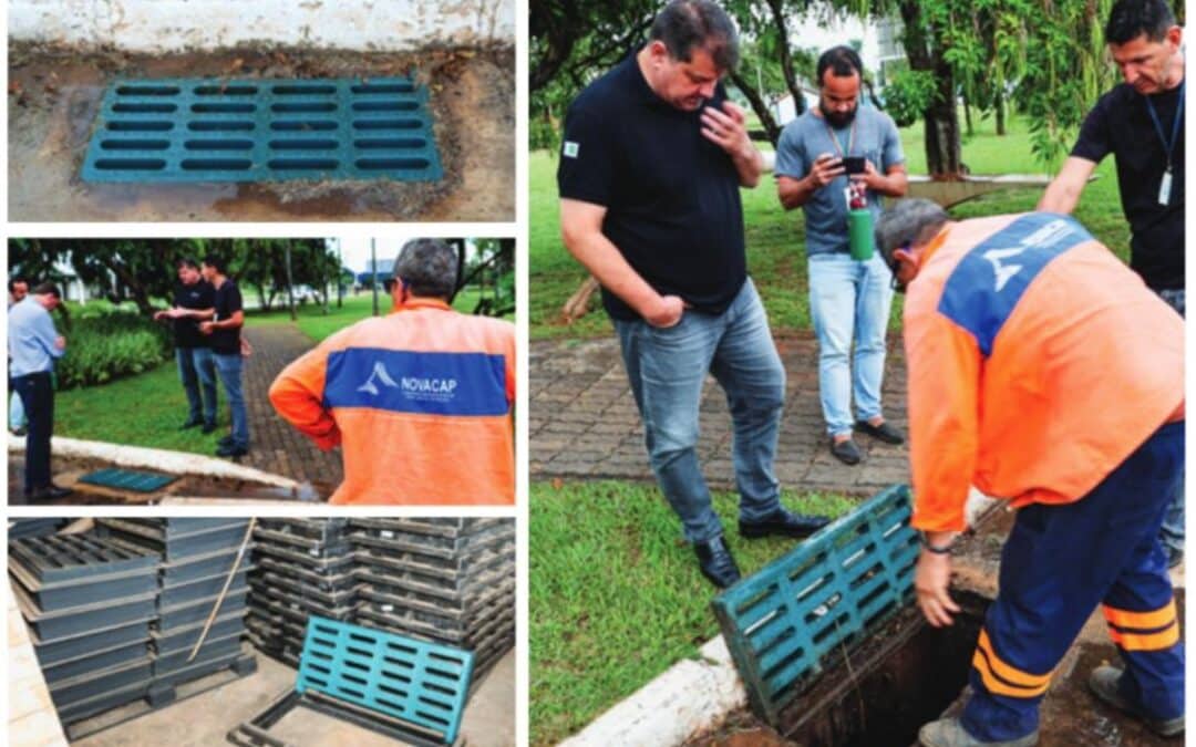 FOTO - MATÉRIA - GRELHA ECOLÓGICA BOCA DE LEÃO